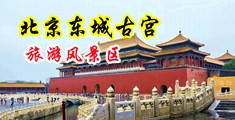 男人操美女的大胸中国北京-东城古宫旅游风景区